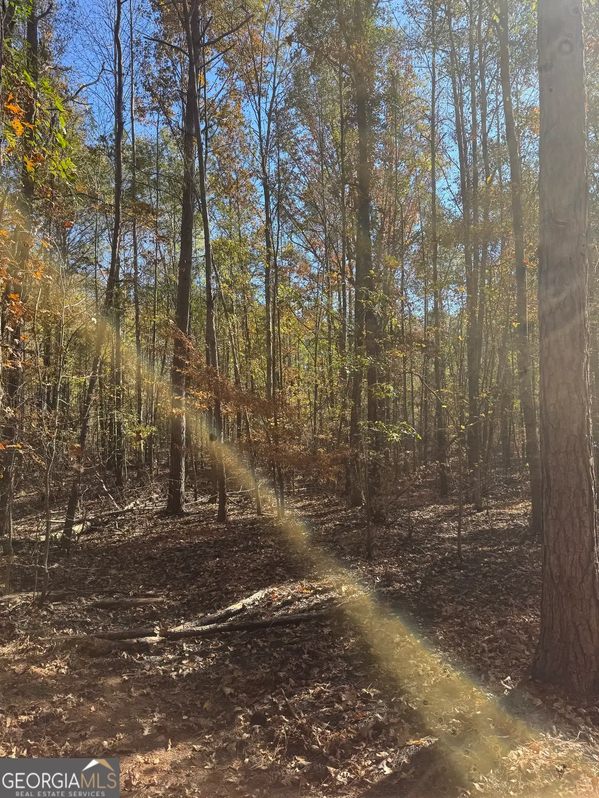 143 W Drummond Rd, West Point, GA 31833 - Image #1