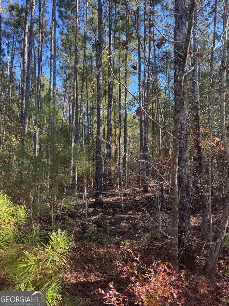 143 W Drummond Rd, West Point, GA 31833 - Image #3