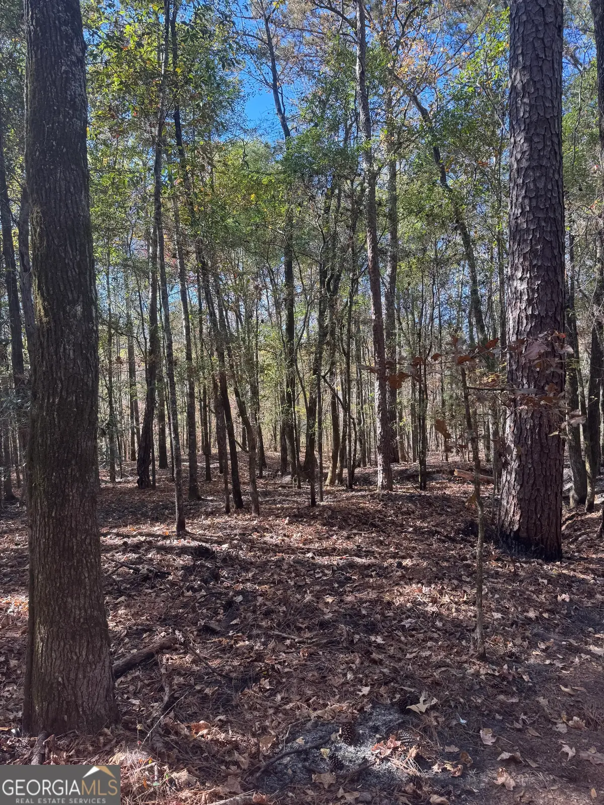 151 W Drummond Rd, West Point, GA 31833 - Image #1