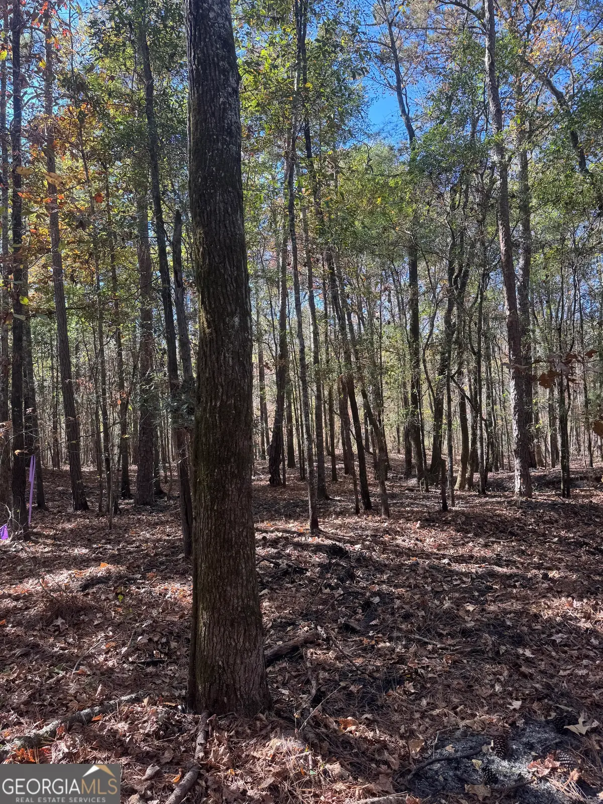 157 W Drummond Rd, West Point, GA 31833 - Image #1