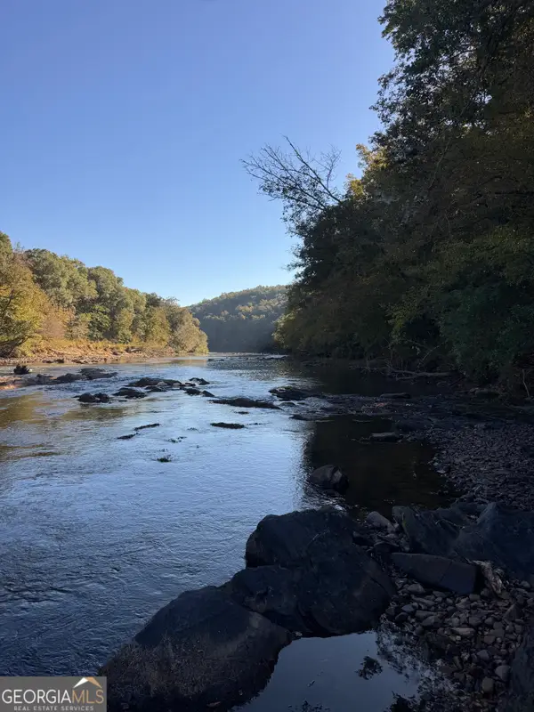 0 Hwy 36 #LOT 3, Woodland, GA 31836