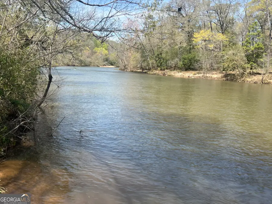 0 Hwy 36 #LOT 3, Woodland, GA 31836 - Image #2