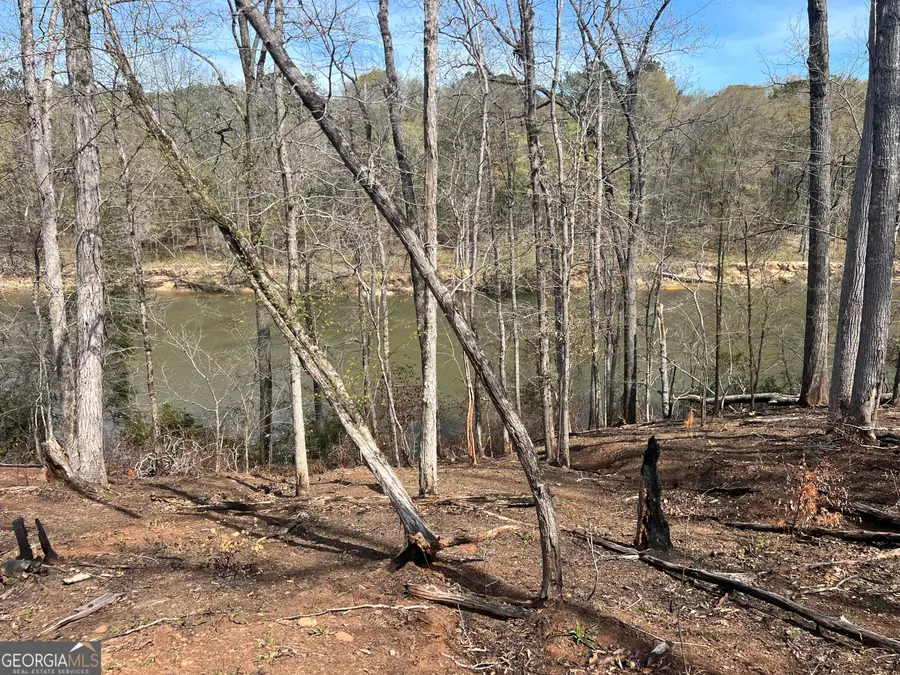 0 Hwy 36 #LOT 3, Woodland, GA 31836 - Image #3