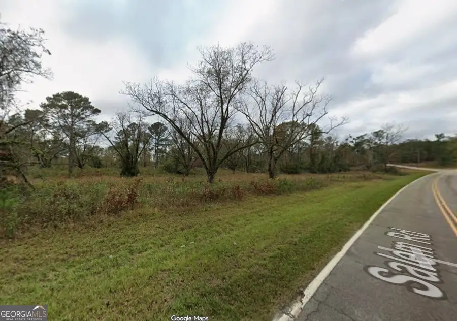 17 +/- AC Salem Road, Pine Mountain, GA 31822 - Image #2