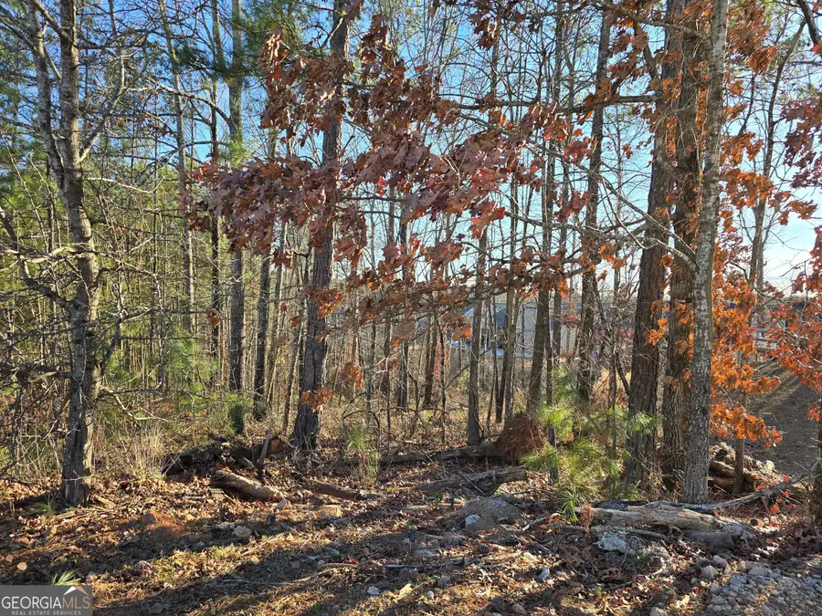 8351 Dublin Drive, Winston, GA 30187 - Image #2