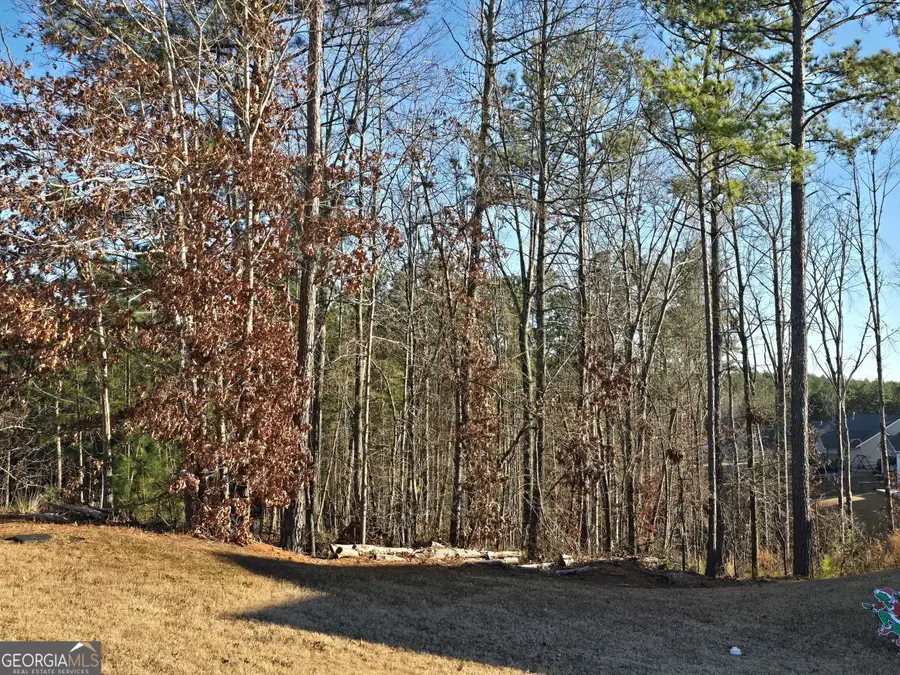 8351 Dublin Drive, Winston, GA 30187 - Image #3