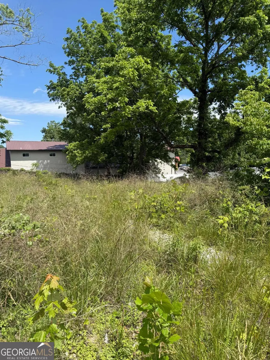 LT 19 E Second Street, Blue Ridge, GA 30513 - Image #3