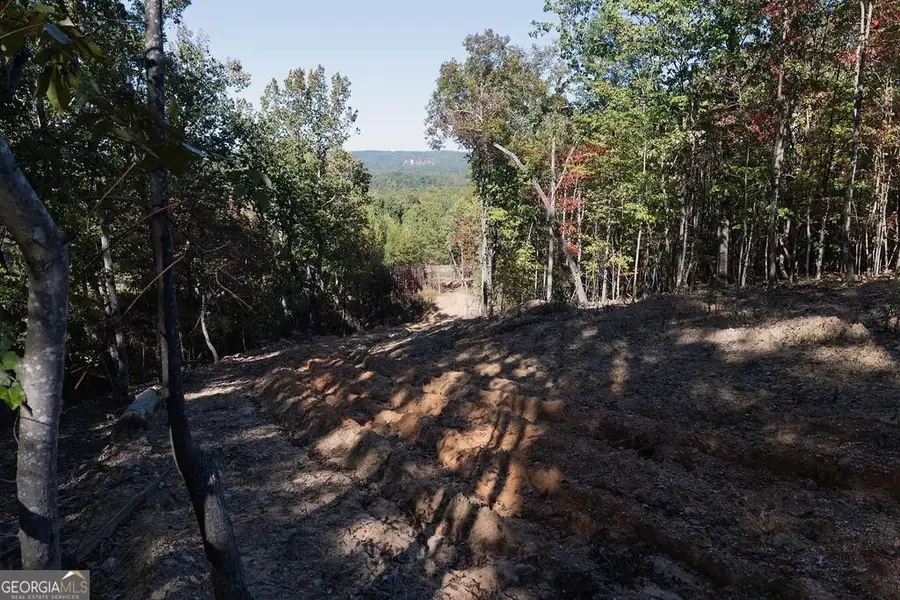 34 E Heritage Drive Ne, Rydal, GA 30171 - #3