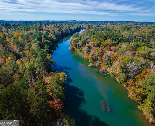 464 Old Dames Ferry Road, Juliette, GA 31046