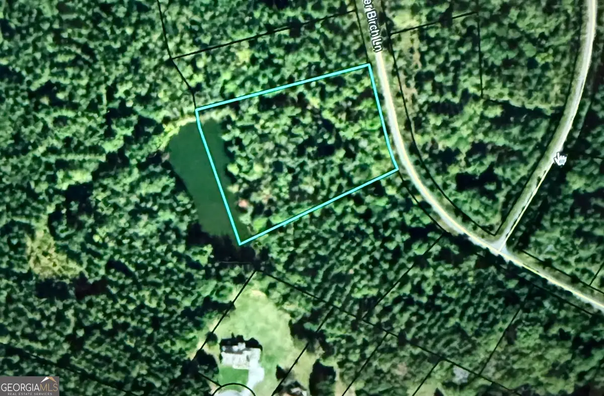 0 Colbert Danielsville Lot 12 Road, Danielsville, GA 30633 - Image #1
