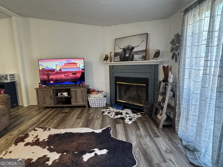 100 Lakeview Drive, Colbert, GA 30628 - Image #3