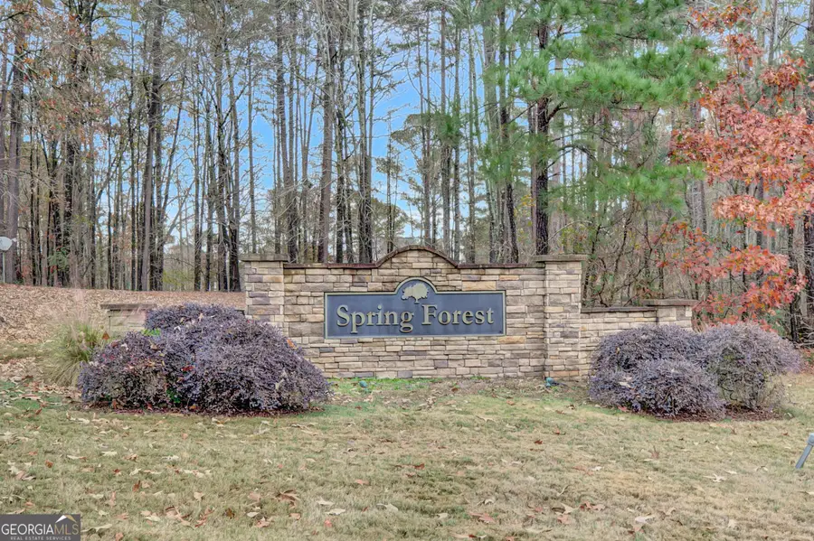 90 Spring Forest Trail, Sharpsburg, GA 30277 - Image #3