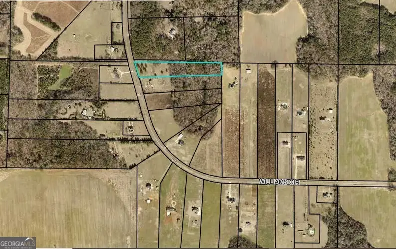 TRACT 18 Williams Circle, Elko, GA 31025 - Image #1