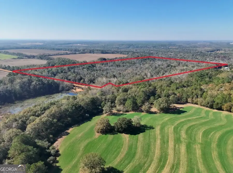 0 Bull Branch Road, Coffee Springs, AL 36318 - Image #2