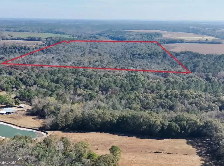 0 Bull Branch Road, Coffee Springs, AL 36318 - Image #3