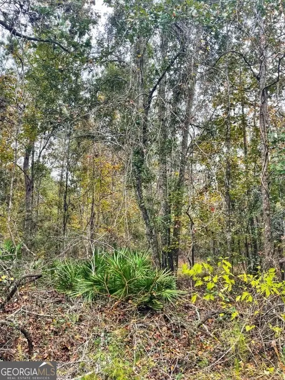 0 Highway 98, Perry, FL 32348 - Image #2