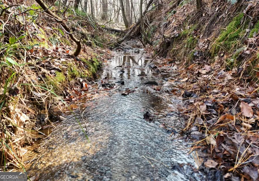 232 Possum Trot Road, Blairsville, GA 30512 - Image #2