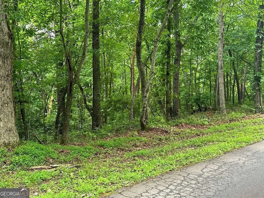 LOT 40 Timberwalk Drive #40, Ellijay, GA 30540 - Image #3