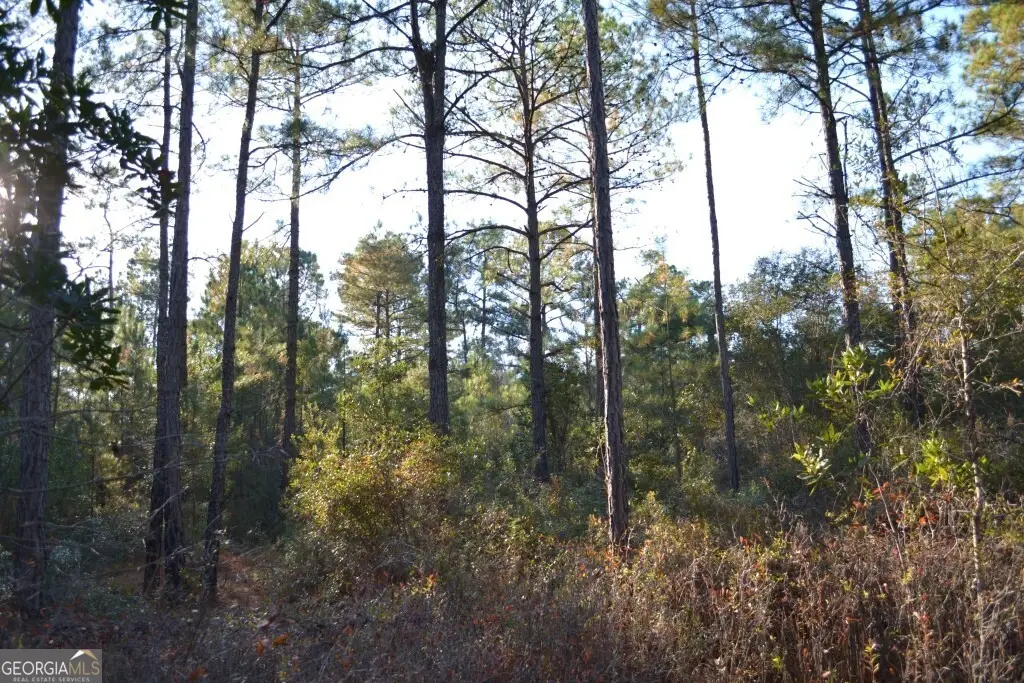 0 Sandpiper Lane #TRACT 2, Swainsboro, GA 30401 - Image #1