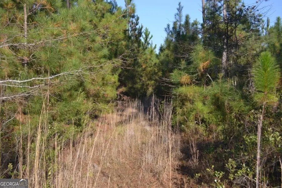 0 Sandpiper Lane #TRACT 2, Swainsboro, GA 30401 - Image #3