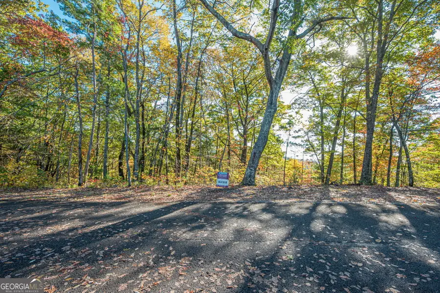 LOT 19 Oceola Drive, Ellijay, GA 30540 - Image #2