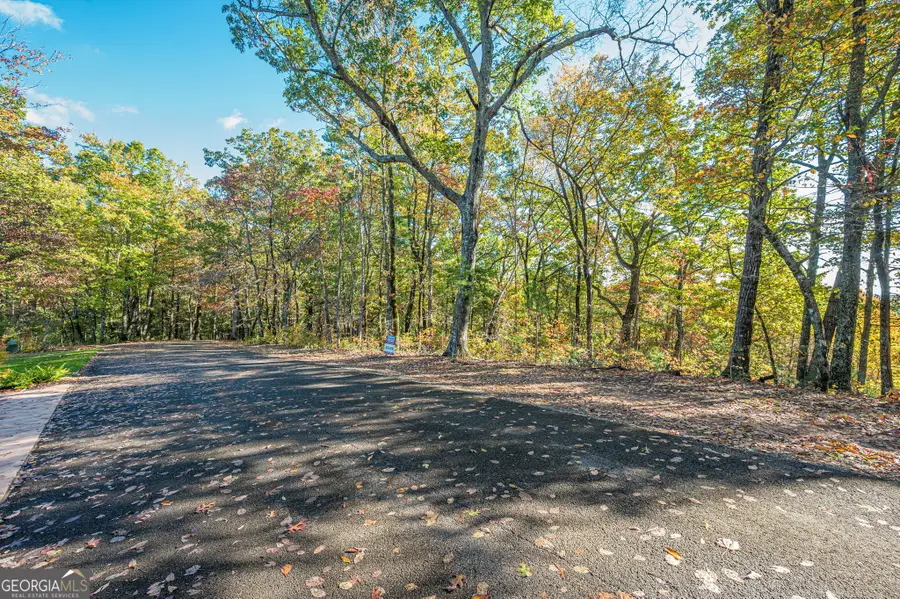 LOT 19 Oceola Drive, Ellijay, GA 30540 - Image #3