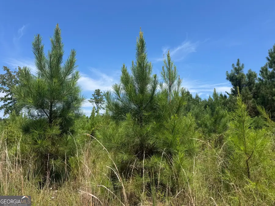 001 Cleghorn Dr, Tallassee, AL 36078 - Image #3