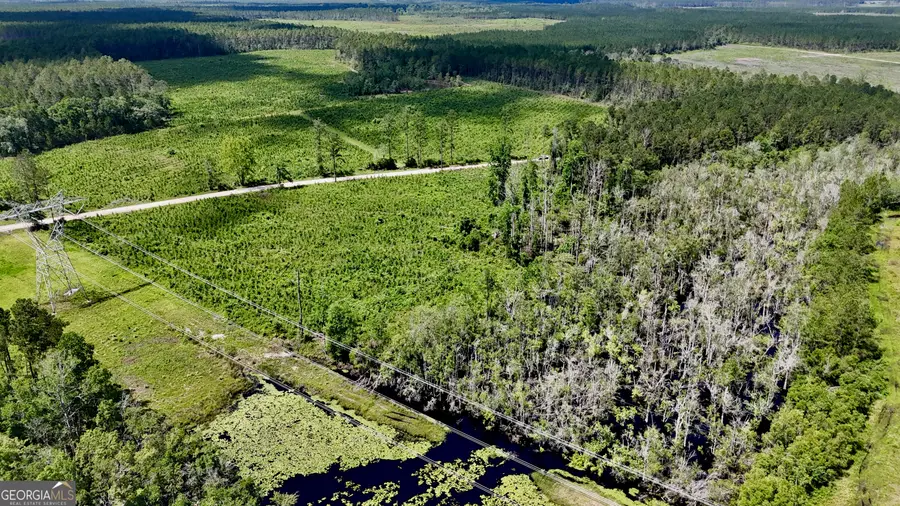 TRACT 1 Bennett Mill Pond Road, Odum, GA 31555 - Image #2