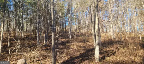 0 Avery Scroggs Road, Hayesville, NC 28904