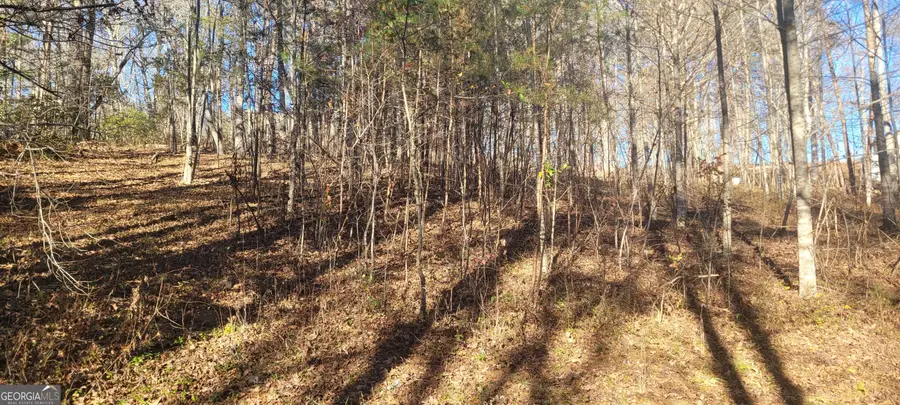 0 Avery Scroggs Road, Hayesville, NC 28904 - Image #3