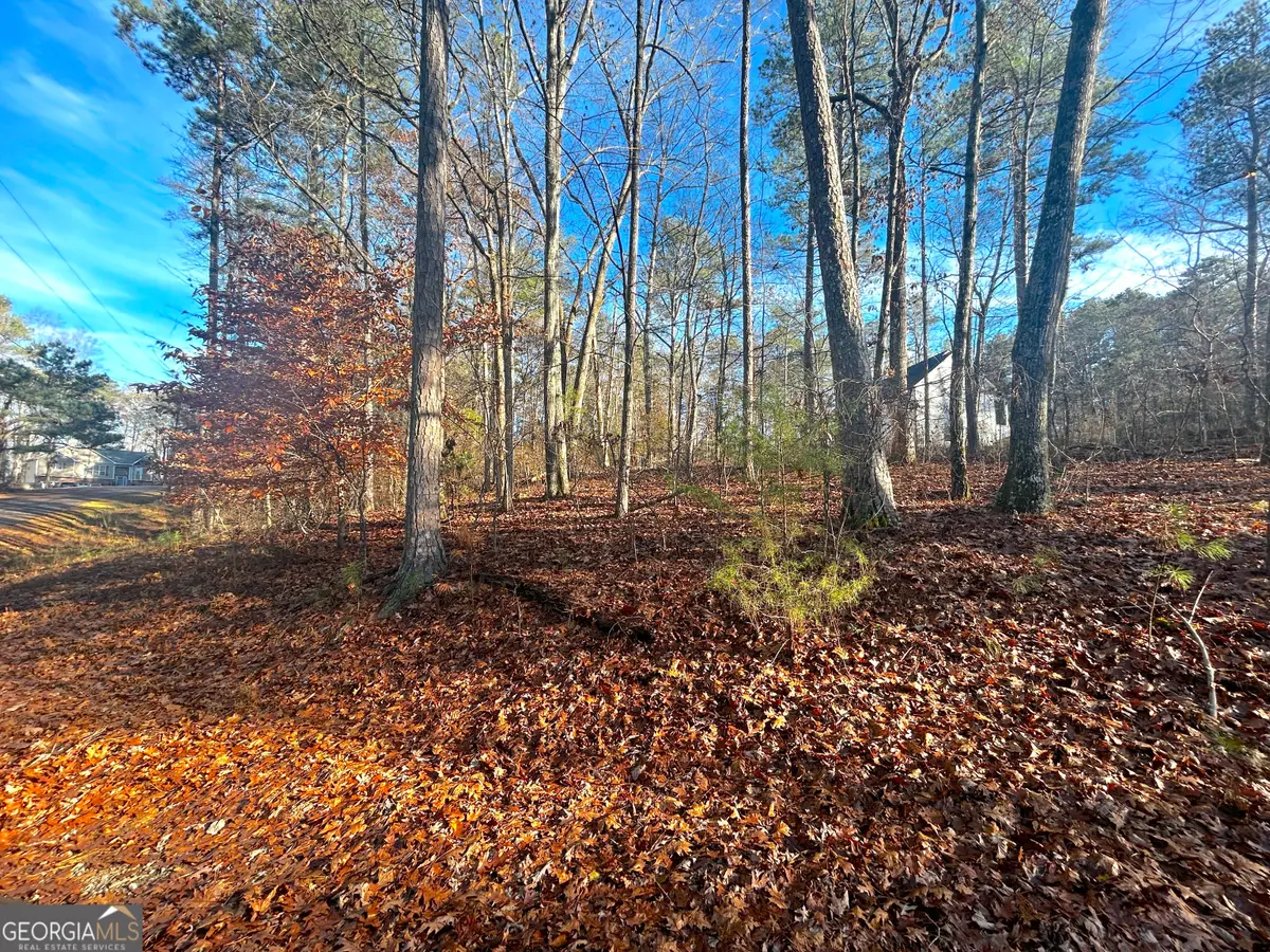 3339 Cherokee Court, Villa Rica, GA 30180 - Image #1