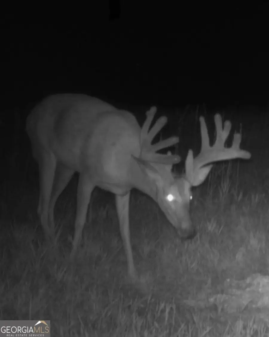 0 Ga Hwy 72, Comer, GA 30629 - Image #3