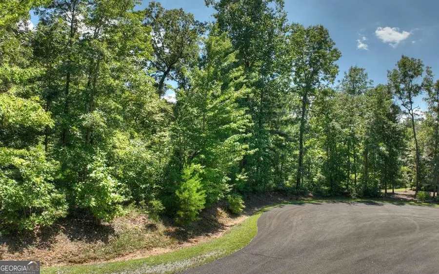 136 Whispering Ridge Court #136, Ellijay, GA 30540 - Image #3