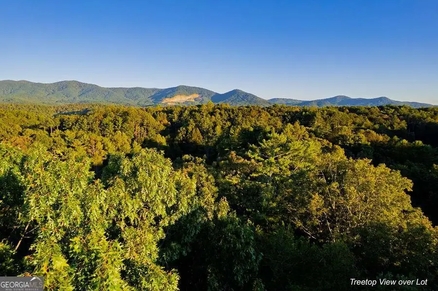 228 Toccoa Court #228, Ellijay, GA 30540 - Image #2