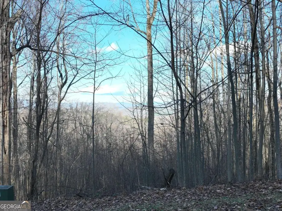 281 Andes Ridge, Ellijay, GA 30536 - Image #2