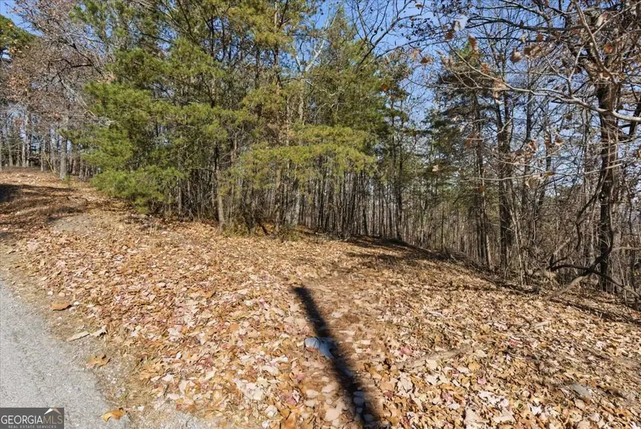 1166 Hunter Drive, Ranger, GA 30734 - Image #3