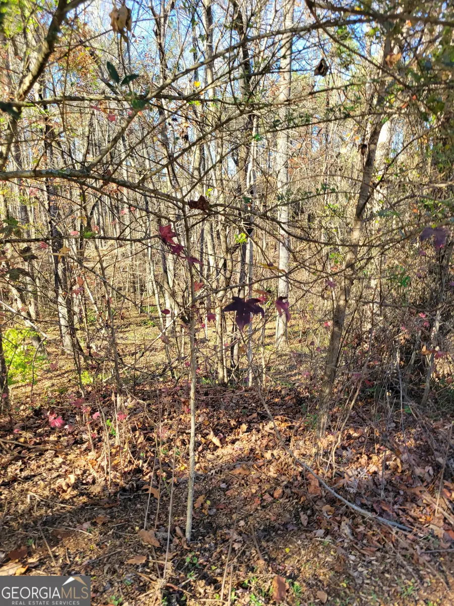 6920 Black Fox Lane, Cumming, GA 30040 - Image #2