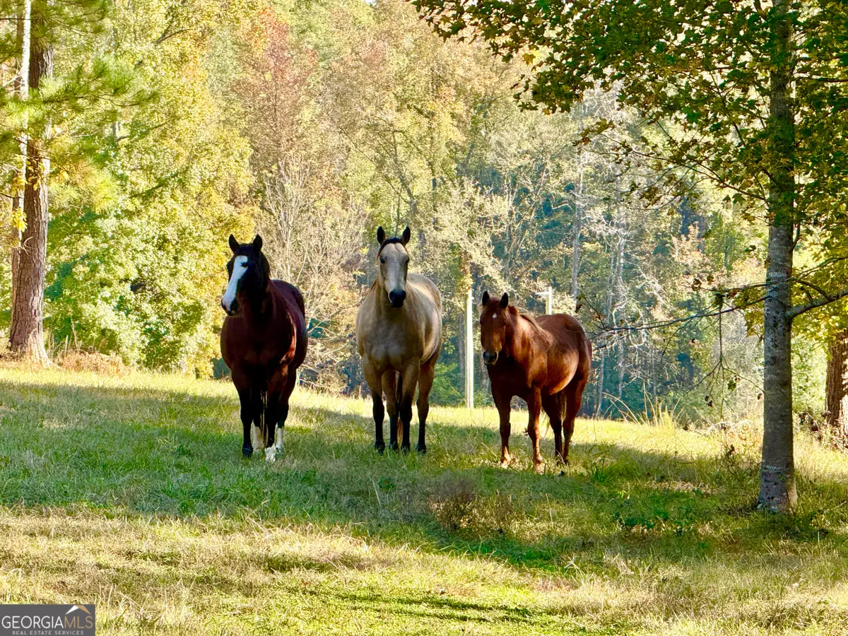 175 ACRES Roosevelt Highway, Warm Springs, GA 31830 - Image #1