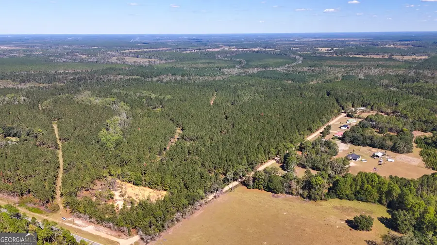 0 4th Street Extension, Alma, GA 31510 - #3