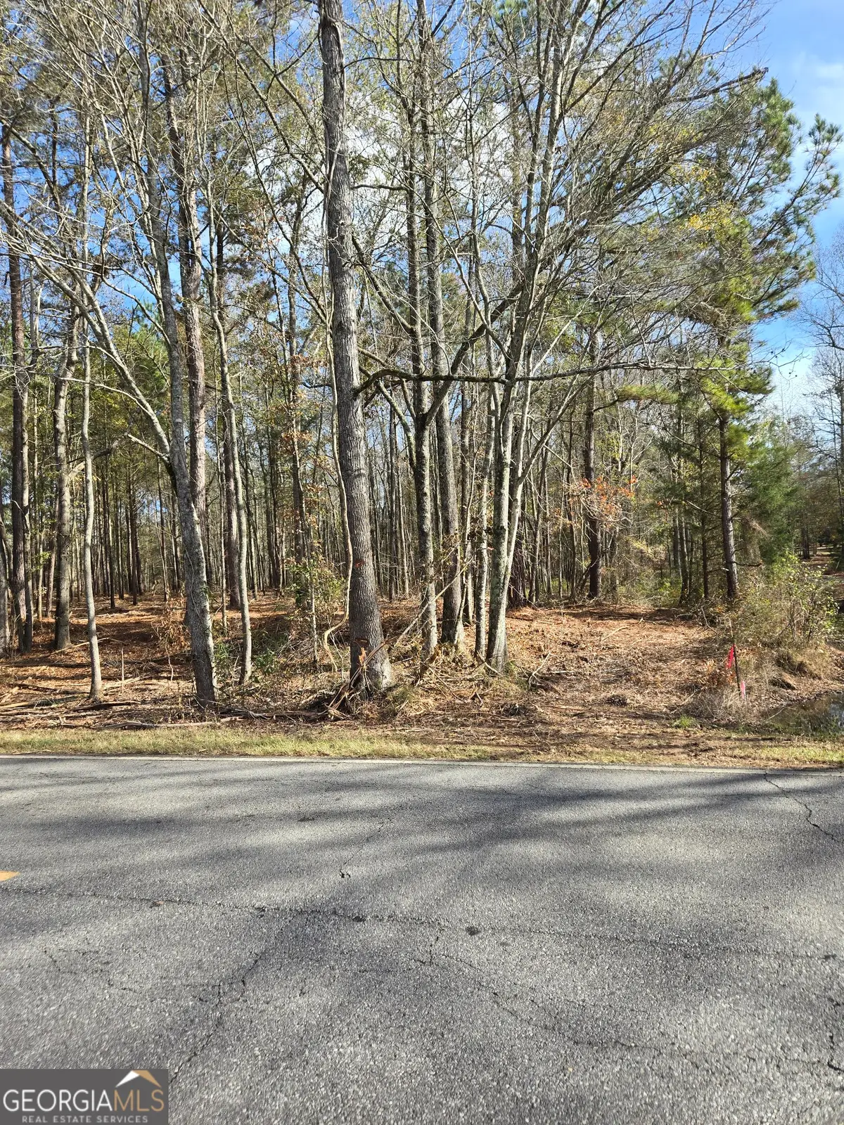 0 Yatesville Road, Barnesville, GA 30204 - Image #1