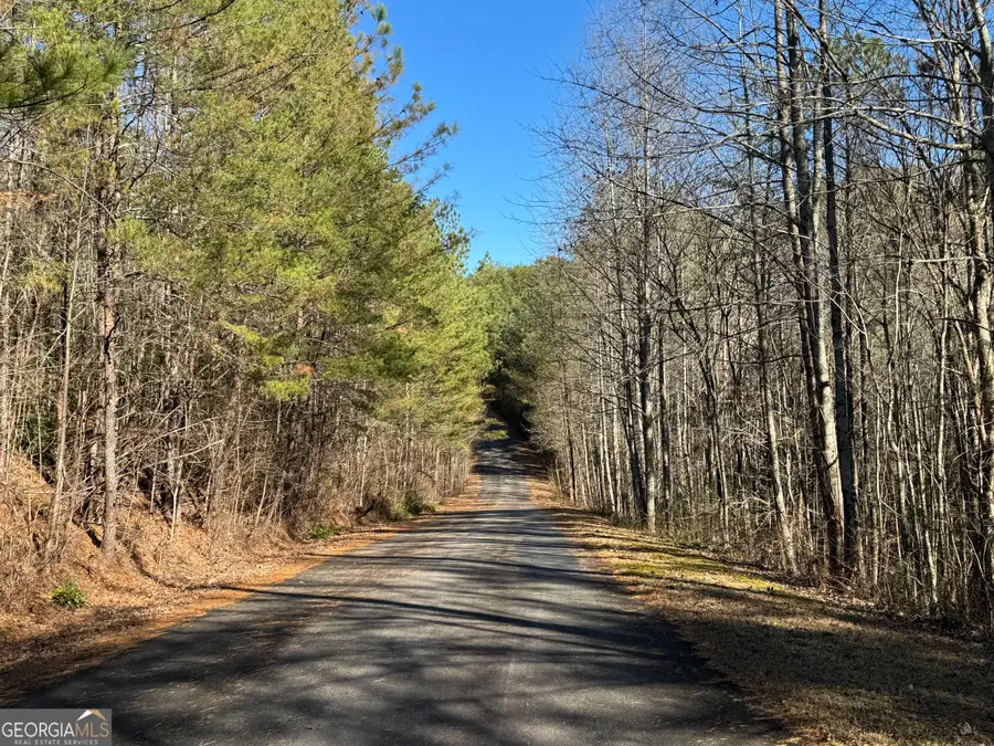 LOT 33 East Ridge Lane, Ellijay, GA 30536 - Image #3