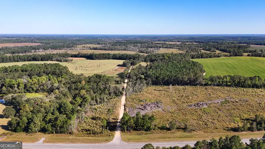 0 Highway 441, Jacksonville, GA 31544 - Image #2