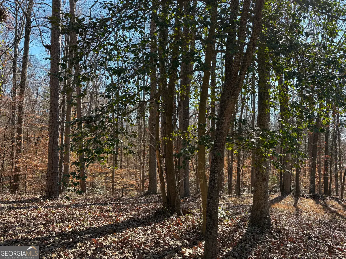 0 Lewis Drive, Lavonia, GA 30553 - Image #1