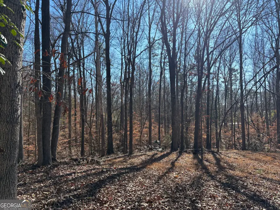 0 Lewis Drive, Lavonia, GA 30553 - Image #2