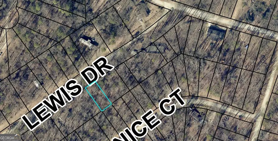 0 Lewis Drive, Lavonia, GA 30553 - Image #3