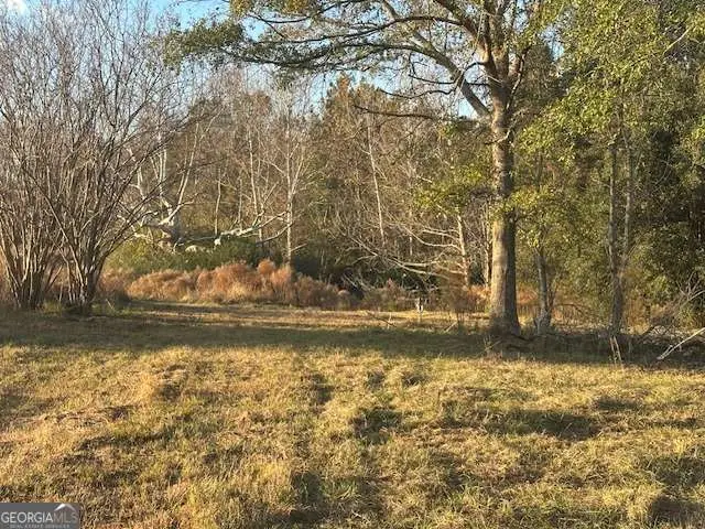 8893 Sunbury Road, Claxton, GA 30417 - Image #3