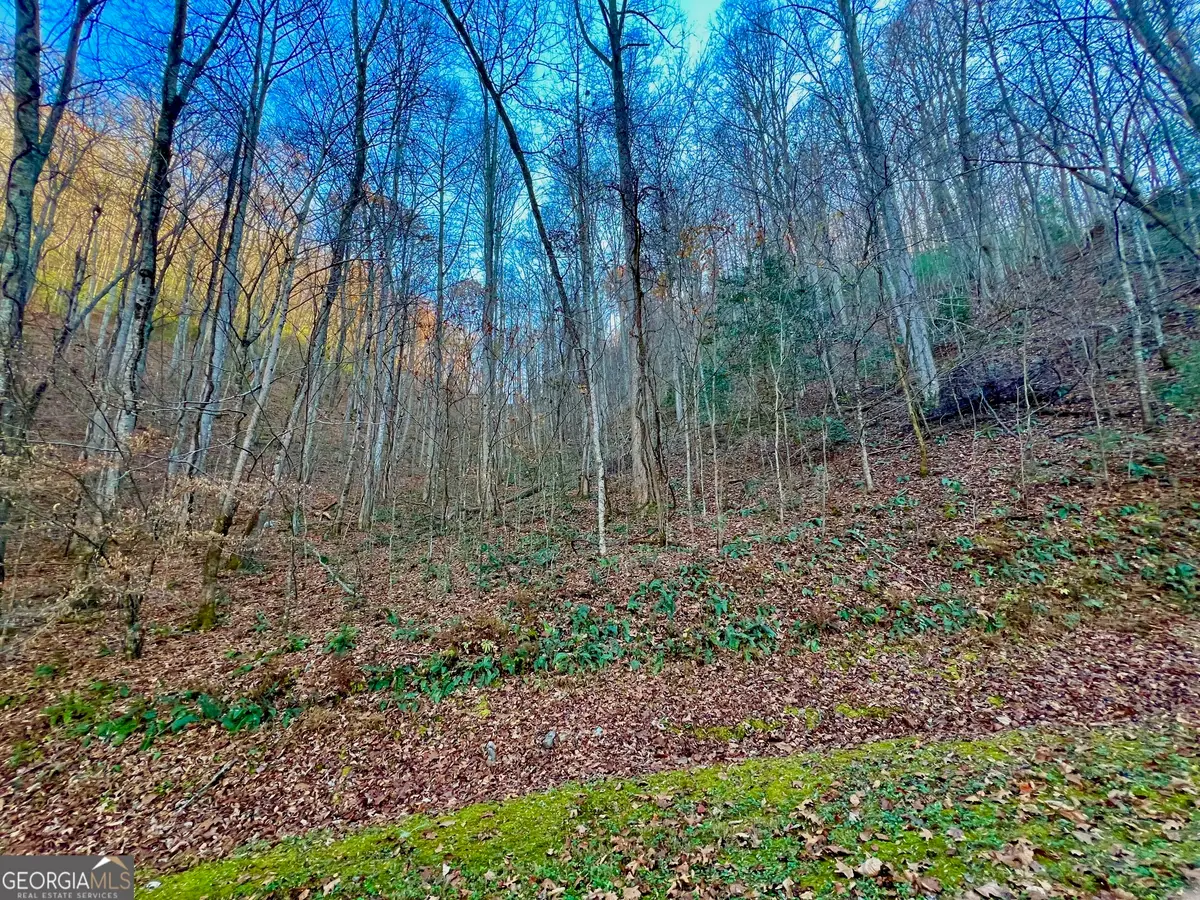 22 Walkers Ridge, Mineral Bluff, GA 30559 - Image #1