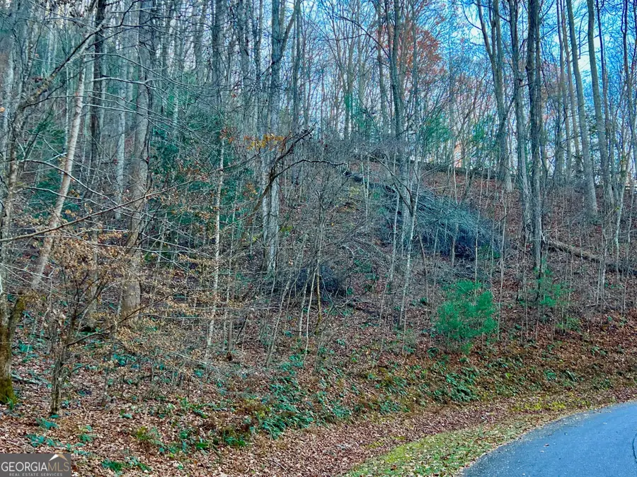 22 Walkers Ridge, Mineral Bluff, GA 30559 - Image #3