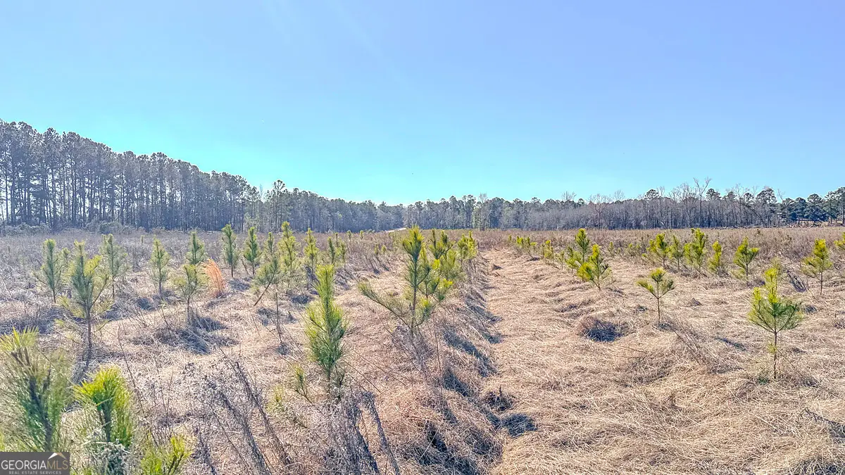 0 Highway 301 #13, Statesboro, GA 30461 - Image #1