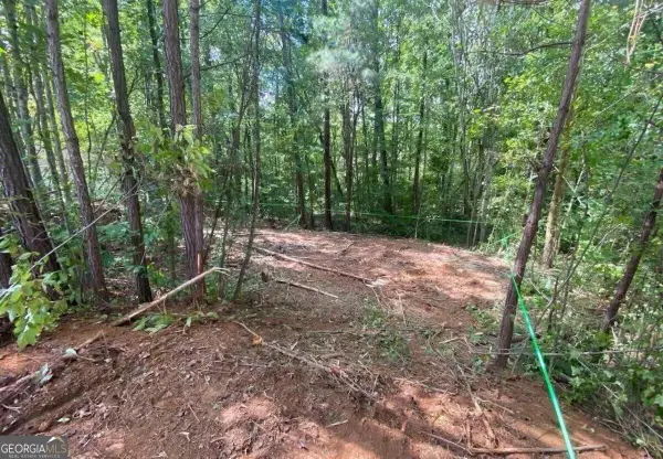 248 Pioneer Trail, Dallas, GA 30132